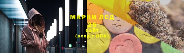 крисы Новодвинск