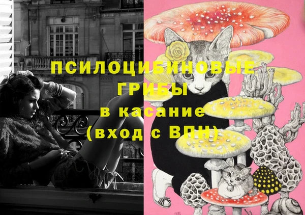 ПСИЛОЦИБИНОВЫЕ ГРИБЫ Шадринск