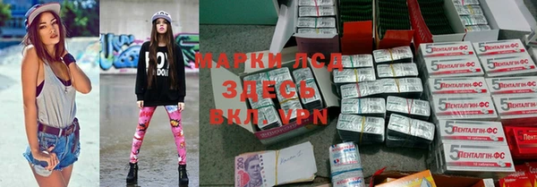 крисы Новодвинск