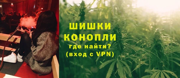 крисы Новодвинск