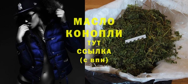 крисы Новодвинск