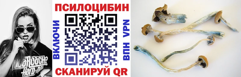 Галлюциногенные грибы Magic Shrooms  Пойковский 